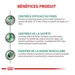 Royal Canin Satiety Weight Management Chien — Croquettes 12 kg