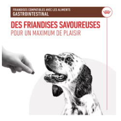 Royal Canin Gastro Intestinal Treats Chien — Friandises 230g