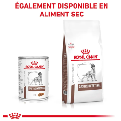 Royal Canin Gastro Intestinal Chien — Boîte 400g