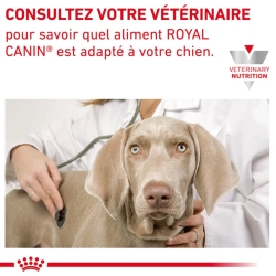 Royal Canin Gastro Intestinal Chien — Boîte 400g