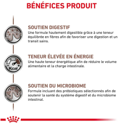 Royal Canin Gastro Intestinal Chien — Boîte 400g