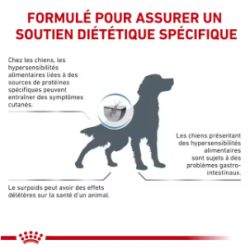 Royal Canin Hypoallergenic Chien — Croquettes 14 kg