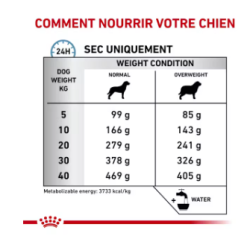 Royal Canin Hypoallergenic Chien — Croquettes 14 kg