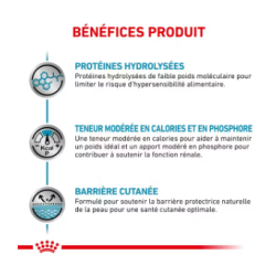 Royal Canin Hypoallergenic Chien — Croquettes 2 kg