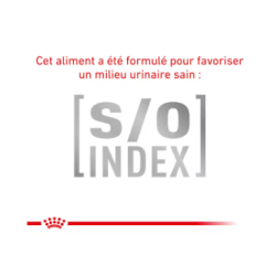 CAT MATURE CONSULT BALANCE 1.5KG