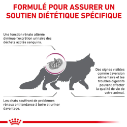 CAT RENAL 2KG