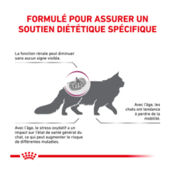 CAT EARLY RENAL 1.5KG