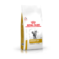 CAT URINARY S/O MODERATE...
