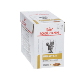 CAT URINARY S/O MORCEAUX...