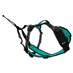 HARNAIS SYMBIOZ XS