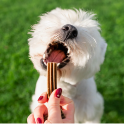 FRIANDISE E&I CHIEN 100G DENTAL CARE S