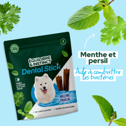 FRIANDISE E&I CHIEN 175G DENTAL CARE L