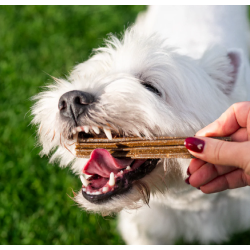 FRIANDISE E&I CHIEN 175G DENTAL CARE L