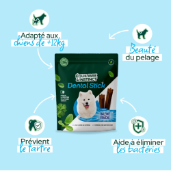FRIANDISE E&I CHIEN 175G DENTAL CARE L