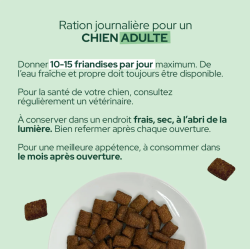 E&I FRIANDISES 120G CHIEN CITROUILLE INSECTES