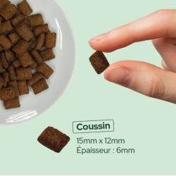 E&I FRIANDISES 120G CHIEN CITROUILLE INSECTES