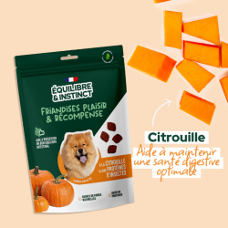 E&I FRIANDISES 120G CHIEN CITROUILLE INSECTES