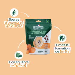 E&I FRIANDISES 120G CHIEN CITROUILLE INSECTES
