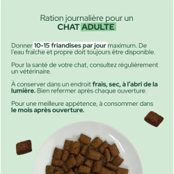 E&I FRIANDISES 80G CHAT CITROUILLE INSECTES