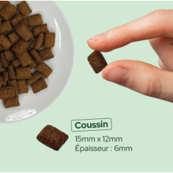 E&I FRIANDISES 80G CHAT CITROUILLE INSECTES
