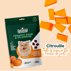 E&I FRIANDISES 80G CHAT CITROUILLE INSECTES