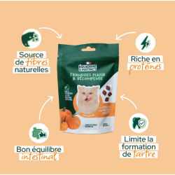 E&I FRIANDISES 80G CHAT CITROUILLE INSECTES