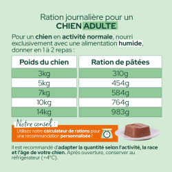 TERRINE CHIEN 300G TRUITE BROCOLIS EQUILIBRE ET INSTINCT