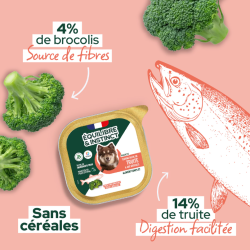 TERRINE CHIEN 300G TRUITE BROCOLIS EQUILIBRE ET INSTINCT