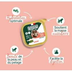 TERRINE CHIEN 300G TRUITE BROCOLIS EQUILIBRE ET INSTINCT