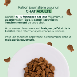 E&I FRIANDISES 80G CHAT SAUMON