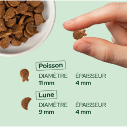 E&I FRIANDISES 80G CHAT SAUMON