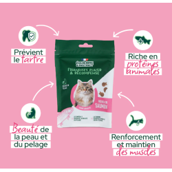 E&I FRIANDISES 80G CHAT SAUMON