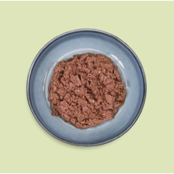 MOUSSE CHAT OBESITE 100G EQUILIBRE & INSTINCT