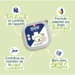 MOUSSE CHAT OBESITE 100G EQUILIBRE & INSTINCT