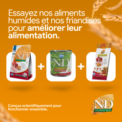 ND ANCESTRAL POULET GRENADE CHIEN ADULTE MED/MAX 2.5 kg