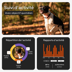 Collier GPS chien Weenect XS blanc