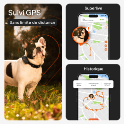 Collier GPS chien Weenect XS noir