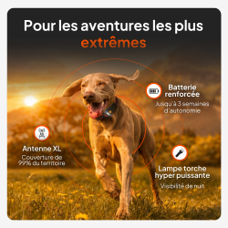Weenect Tracker XT Orange