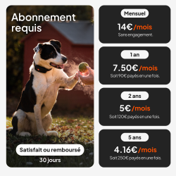 Weenect Tracker XT Orange