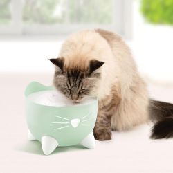 FONTAINE CHAT PIXI VERT MENTHE