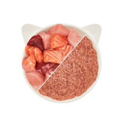 WOW CHAT PATEE ADULT POULET & SAUMON 125 GR