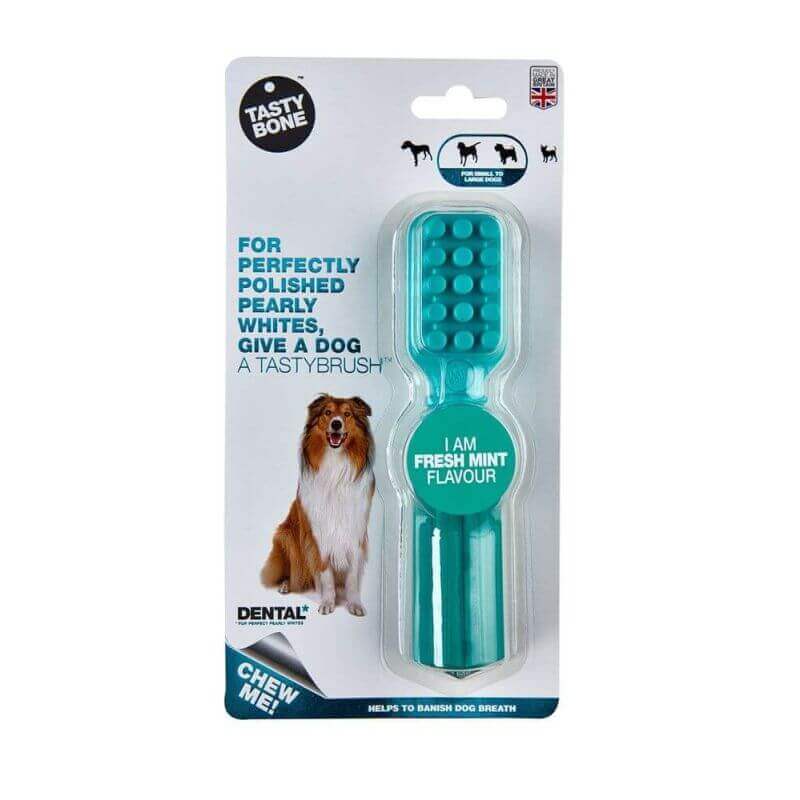 Dental TastyBrush menthe