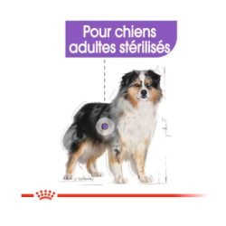 MEDIUM STERILISED 12KG