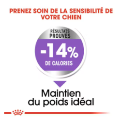 MAXI STERILISED 12KG