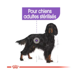 MAXI STERILISED 12KG