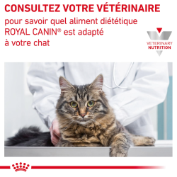 CAT SATIETY WEIGHT MANAGEMENT 12x85g