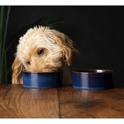 SCRUFFS BOWL REACTIVE GLAZE BLUE 13CM