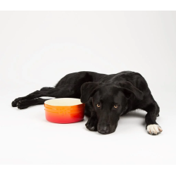 SCRUFFS BOWL OMBRE ORANGE 15CM