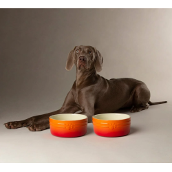 SCRUFFS BOWL OMBRE ORANGE 19CM
