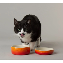 SCRUFFS BOWL PLAT OMBRE ORANGE 13CM